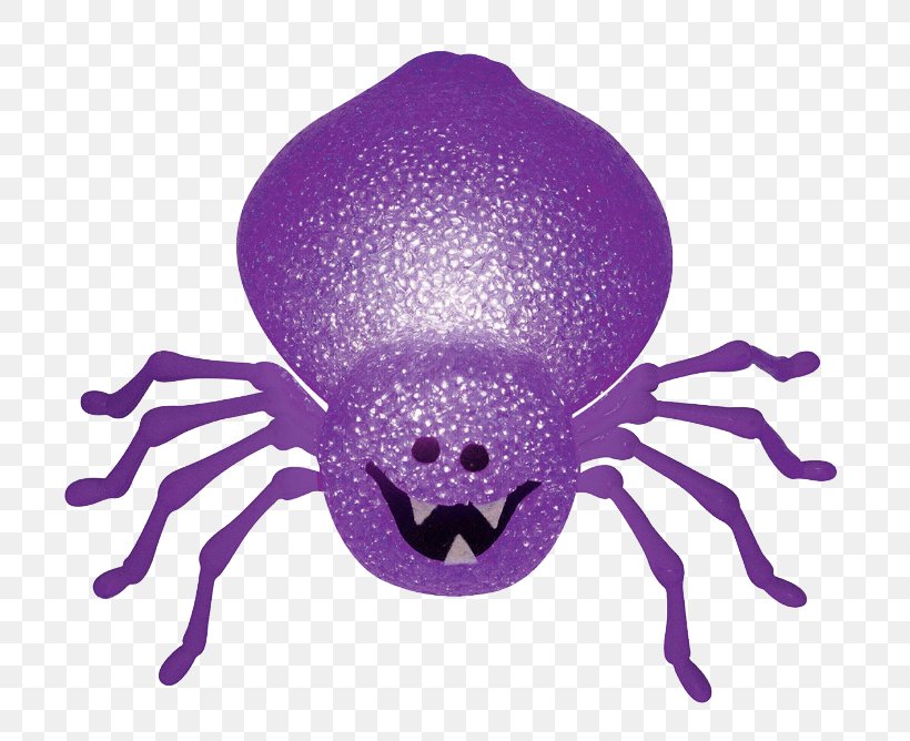 Halloween Spider, PNG, 800x668px, Spider, Animal, Halloween, Illustration, Invertebrate Download Free