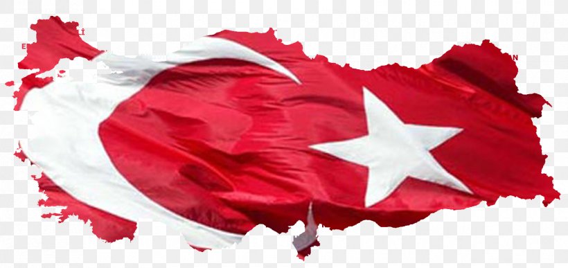 Istanbul United States United Kingdom Map, PNG, 1705x805px, Istanbul, Country, Flag Of Turkey, Flower, Heart Download Free