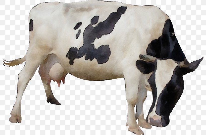 Watercolor Animal, PNG, 800x539px, Watercolor, Agriculture, Animal Figure, Bovine, Bull Download Free