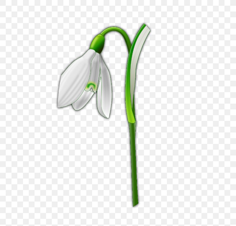 Aldborough Harrogate The Ship Inn Arum Lilies Flower, PNG, 463x785px, Harrogate, Arum, Arum Lilies, Borough Of Harrogate, Flower Download Free