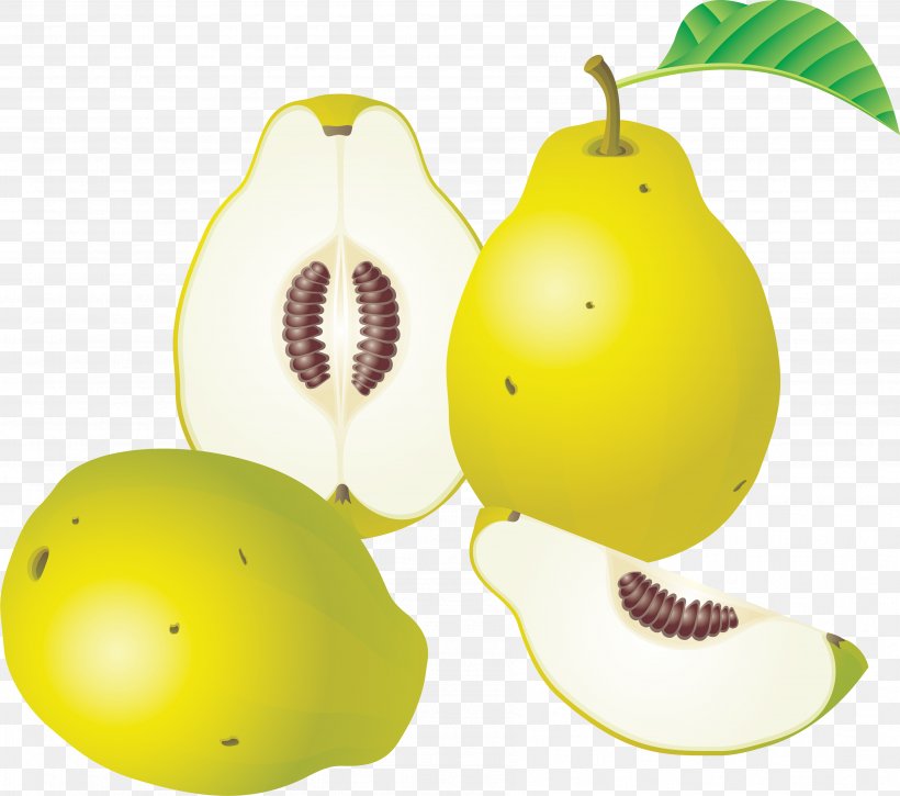 Fruit Pear Watermelon Clip Art, PNG, 3582x3168px, Candy Apple, Apple, Auglis, Food, Fruit Download Free