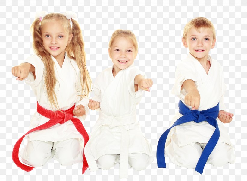 Martial Arts Child Karate Taekwondo Self-defense, PNG, 1600x1172px, Watercolor, Cartoon, Flower, Frame, Heart Download Free