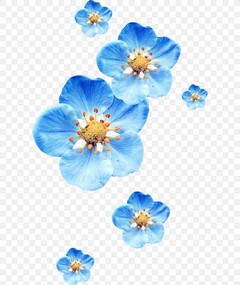 Flower Blue Clip Art, PNG, 600x973px, Flower, Blue, Blue Rose, Digital Image, Flowering Plant Download Free