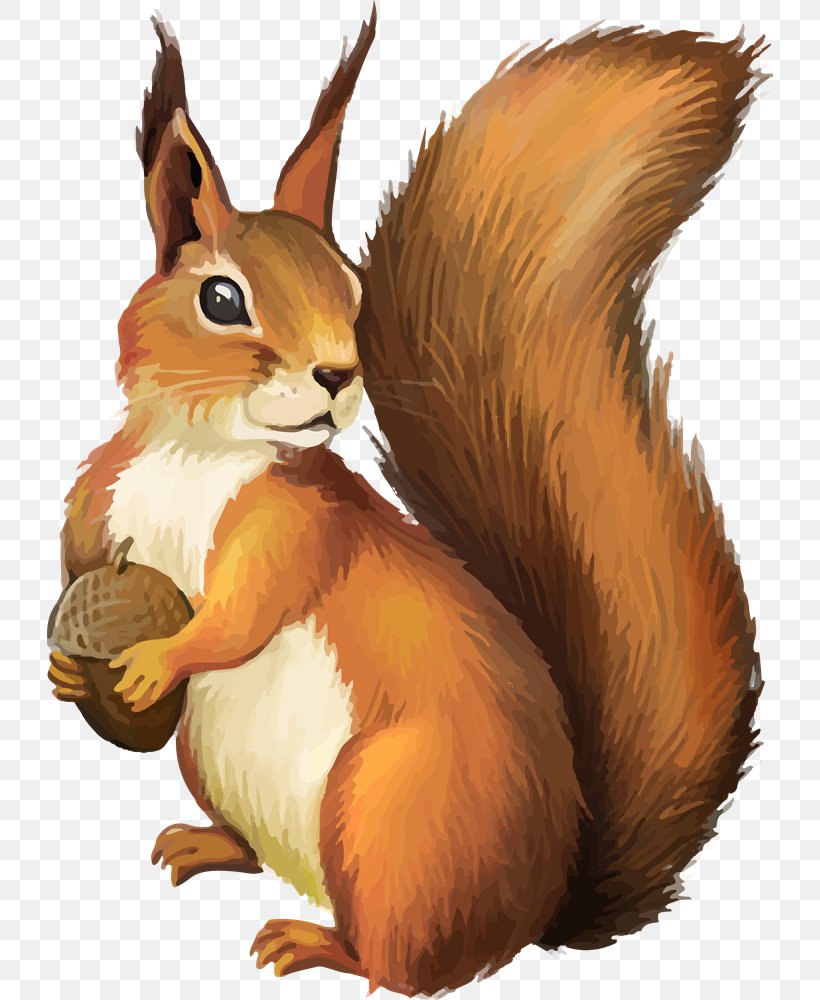 Squirrel Chipmunk Clip Art, PNG, 726x1000px, Squirrel, Animal, Animation, Cartoon, Chipmunk Download Free