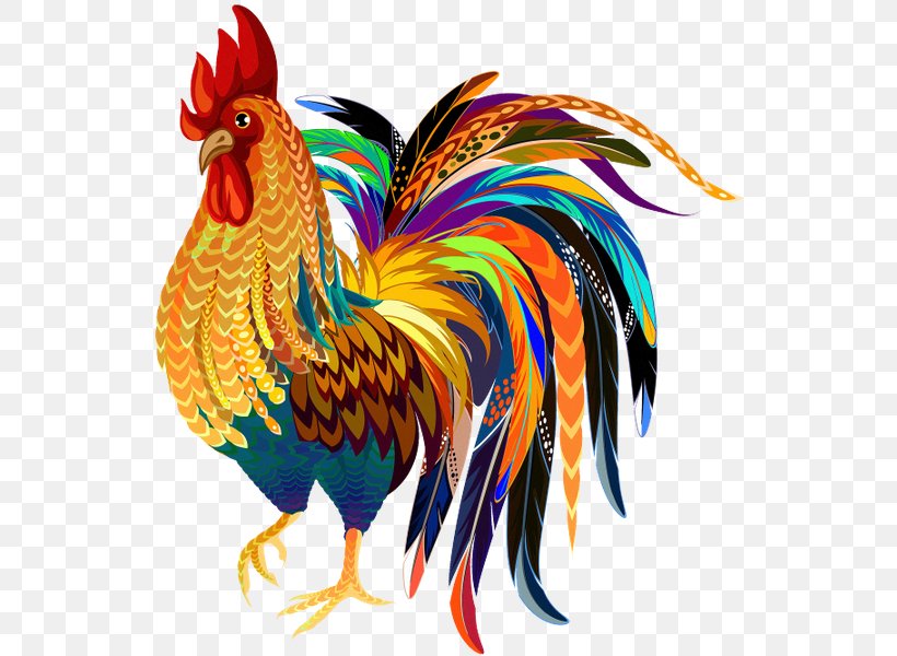 Chicken Rooster Clip Art, PNG, 570x600px, 2017, Chicken, Beak, Bird, Feather Download Free