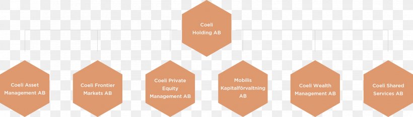 Financial Supervisory Authority Financial Market Management Organization Tillsyn, PNG, 2504x713px, Financial Market, Asset Management, Brand, Concern, Diagram Download Free