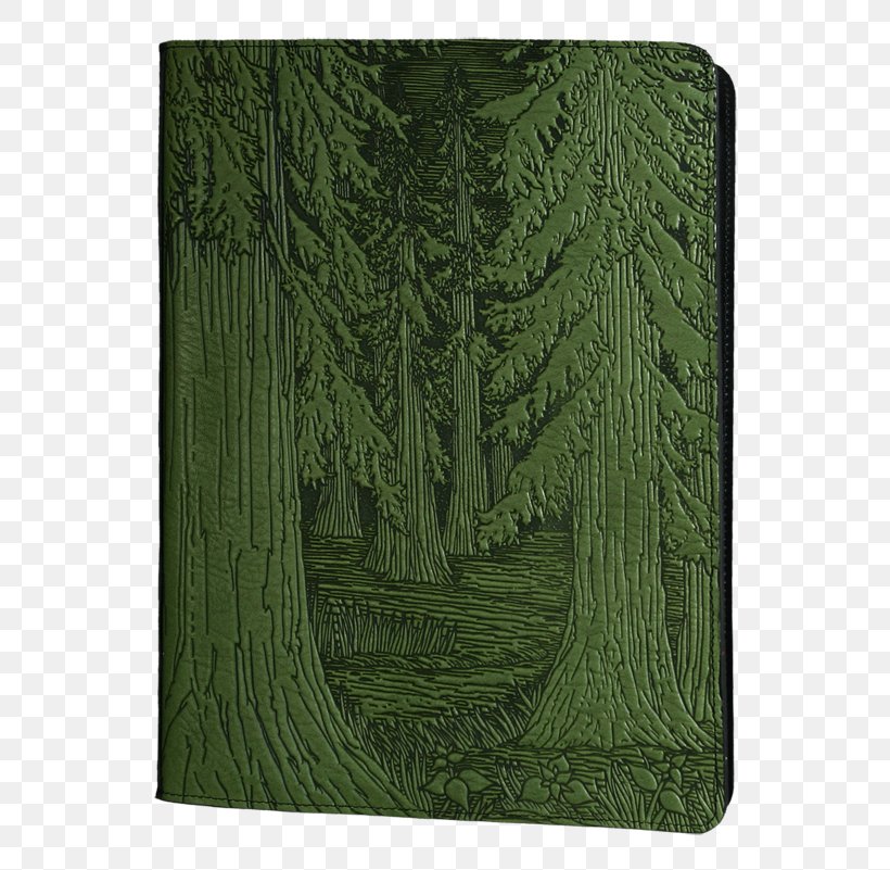 Forest Tree Notebook Leather Oberon Design, PNG, 593x801px, Forest, Biome, Color, Fern, Grass Download Free