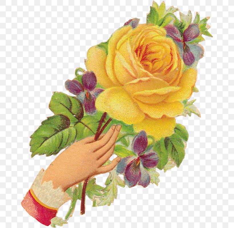 Garden Roses Cabbage Rose Floral Design Flower Clip Art, PNG, 675x800px, Garden Roses, Art, Cabbage Rose, Cut Flowers, Floral Design Download Free