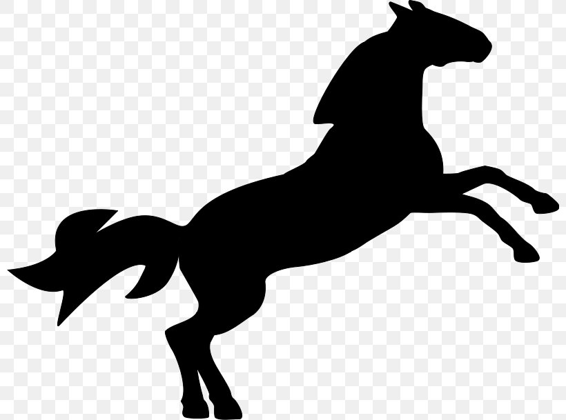 Horse Clip Art, PNG, 800x609px, Horse, Black, Black And White, Colt, Dog Like Mammal Download Free