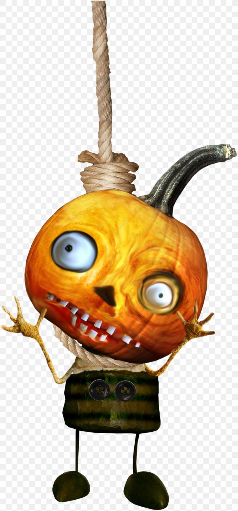 Pumpkin Calabaza Jack-o'-lantern Cucurbita, PNG, 1072x2306px, Pumpkin, Calabaza, Cucurbita, Food, Gratis Download Free