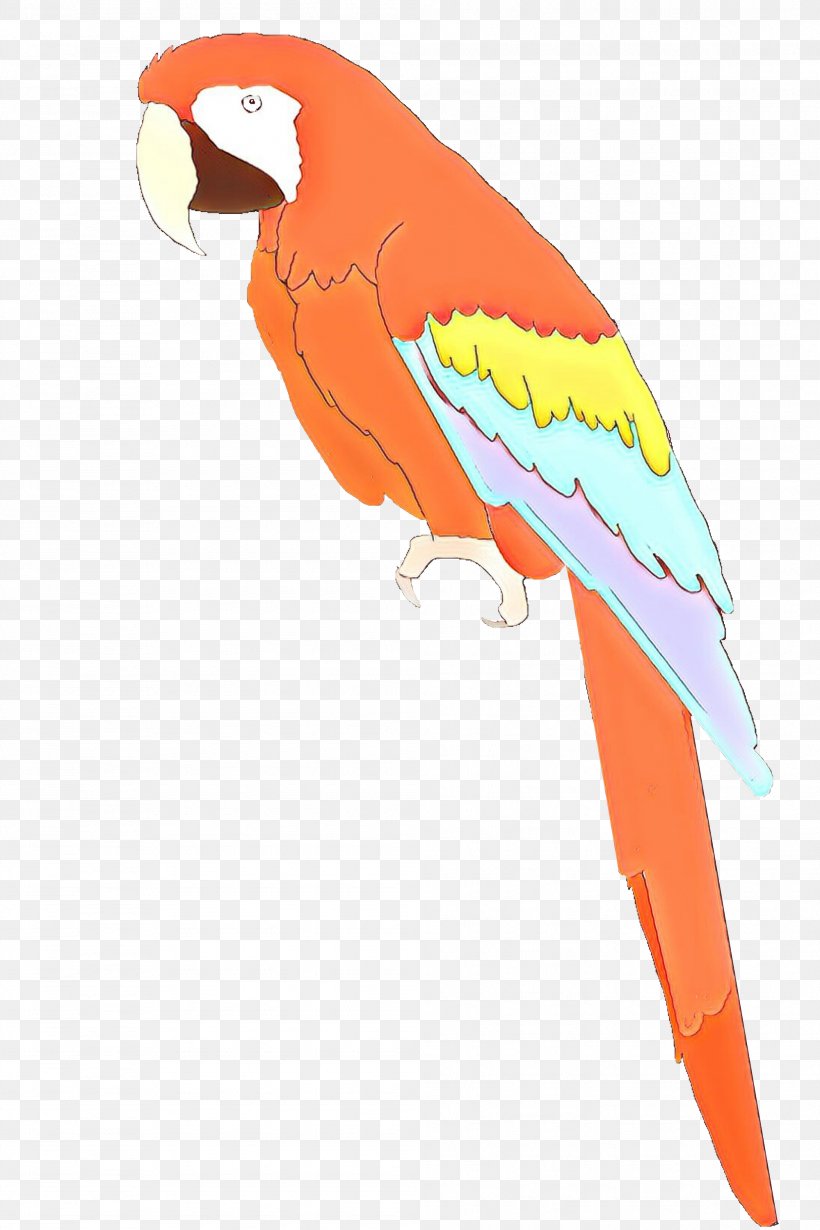 Bird Parrot, PNG, 1999x3000px, Macaw, Beak, Bird, Budgie, Feather Download Free