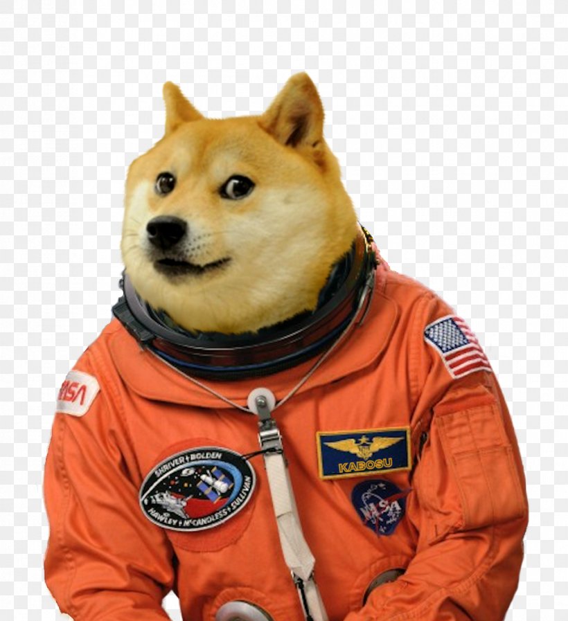 Dog Breed United States Doge Astronaut, PNG, 954x1044px, Dog Breed, Astronaut, Carnivoran, Dog, Dog Breed Group Download Free