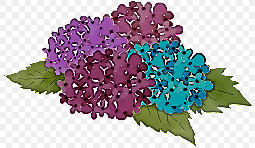 Floral Design, PNG, 800x476px, Hydrangea, Annual Plant, Cut Flowers, Floral Design, Flower Download Free