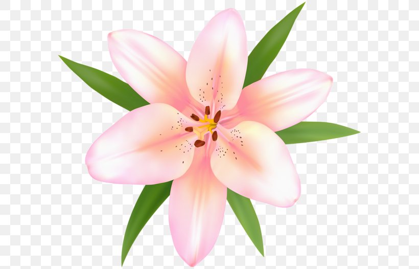 incas clipart flower