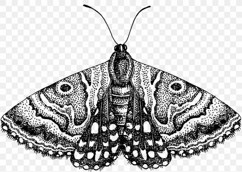Moth Butterfly Clip Art, PNG, 1024x728px, Moth, Arthropod, Black And White, Brush Footed Butterfly, Butterfly Download Free