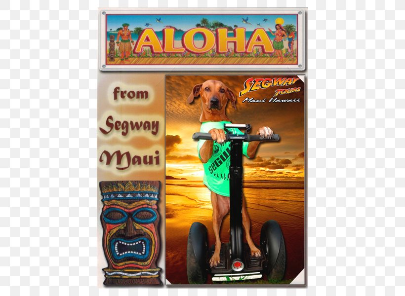 Segway Maui, PNG, 600x600px, Segway Pt, Advertising, Electric Vehicle, Gift, Lahaina Download Free