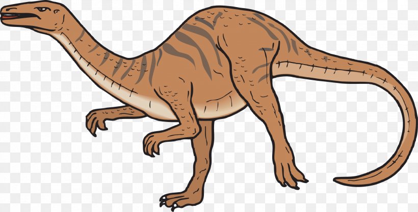 Coelophysis Spinosaurus Coelurus Compsognathus Chirostenotes, PNG, 2228x1135px, Coelophysis, Animal, Animal Figure, Carnivoran, Centrosaurus Download Free