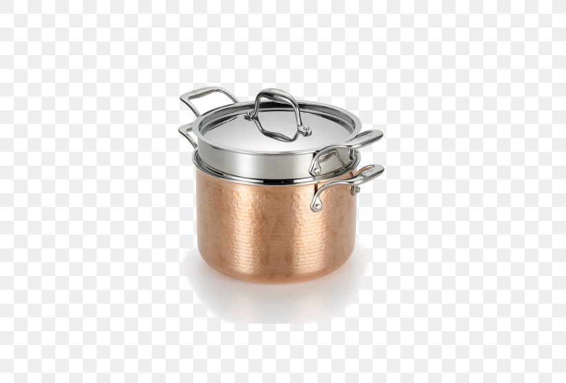 Cookware Stainless Steel Metal Lagostina, PNG, 555x555px, Cookware, Allclad, Aluminium, Ceramic, Cooking Ranges Download Free
