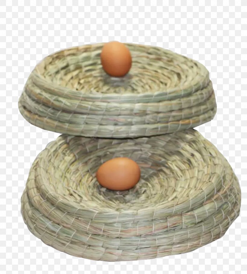 Edible Birds Nest Bird Nest, PNG, 1080x1200px, Bird, Bird Nest, Chicken Egg, Edible Birds Nest, Egg Download Free