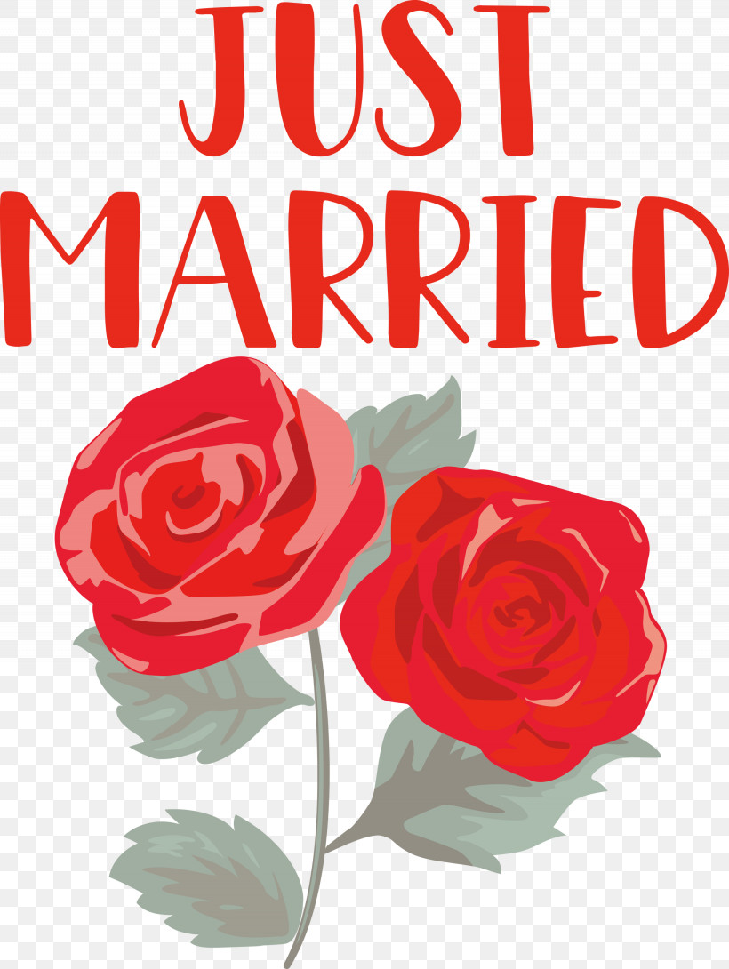 Just Married Wedding, PNG, 2255x3000px, Just Married, Cut Flowers, Floral Design, Flower, Flower Bouquet Download Free