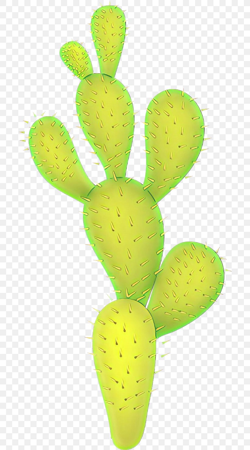 Cactus, PNG, 700x1475px, Cartoon, Barbary Fig, Cactus, Green, Leaf Download Free