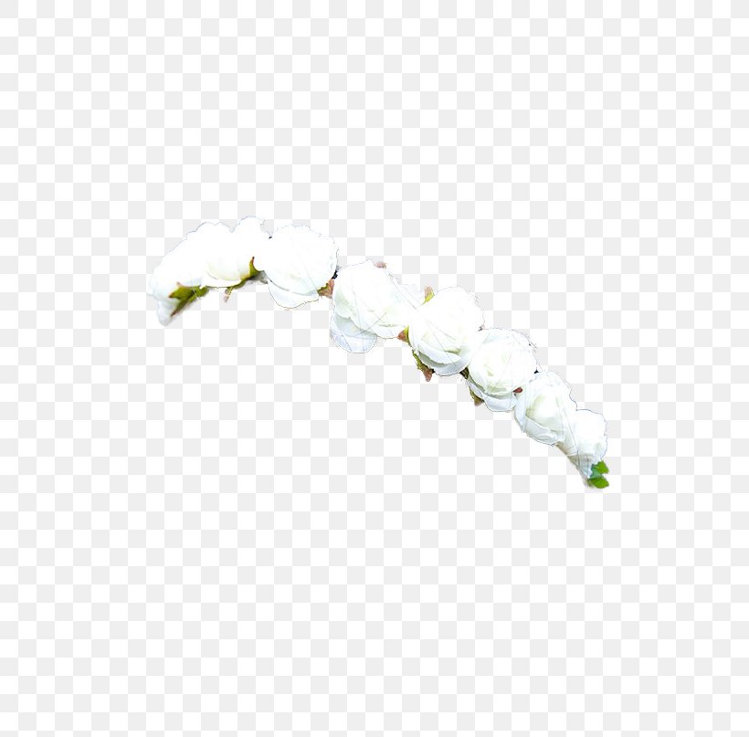 Flower Crown Wreath, PNG, 807x807px, Flower, Blog, Branch, Bridal Crown, Bride Download Free