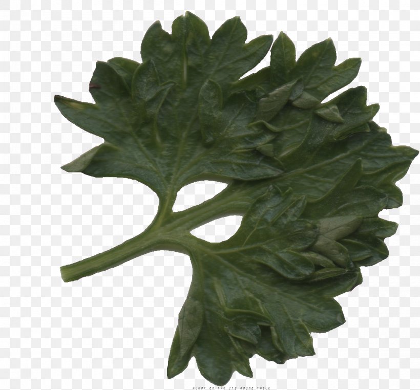 Leaf Vegetable Herb, PNG, 1200x1116px, Leaf, Herb, Leaf Vegetable, Plant, Vegetable Download Free