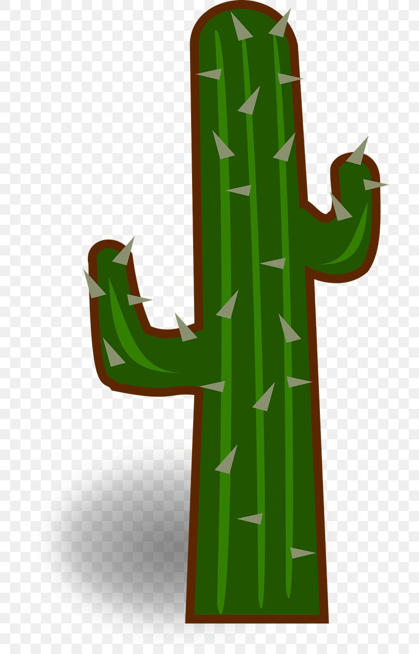 Cactus Clip Art Vector Graphics Image, PNG, 704x1280px, Cactus, Flowering Plant, Grass, Green, Parodia Magnifica Download Free