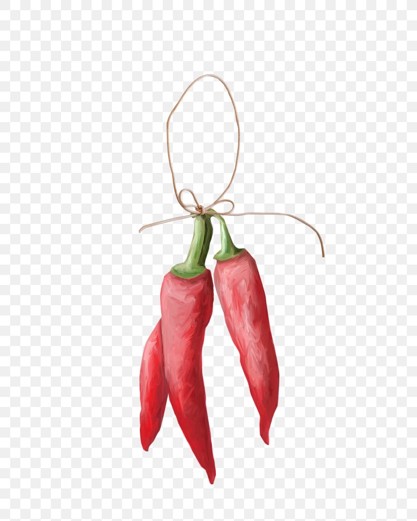 Tabasco Pepper Serrano Pepper Bird's Eye Chili Cayenne Pepper Chili Pepper, PNG, 650x1024px, Tabasco Pepper, Art, Bell Peppers And Chili Peppers, Capsicum, Capsicum Annuum Download Free