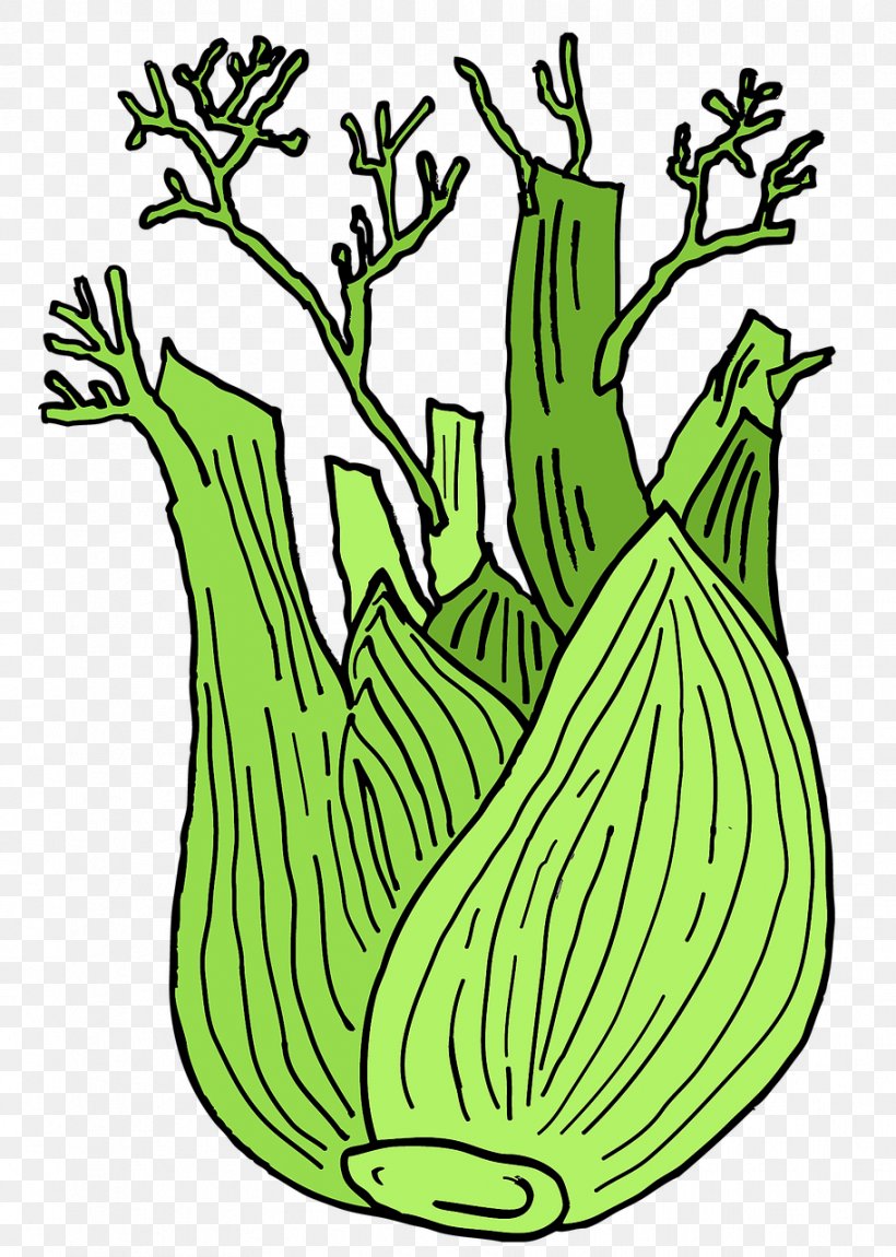 Fennel Plant Vegetable Anise Drawing, PNG, 912x1280px, Fennel, Anise, Artwork, Black And White, Commodity Download Free