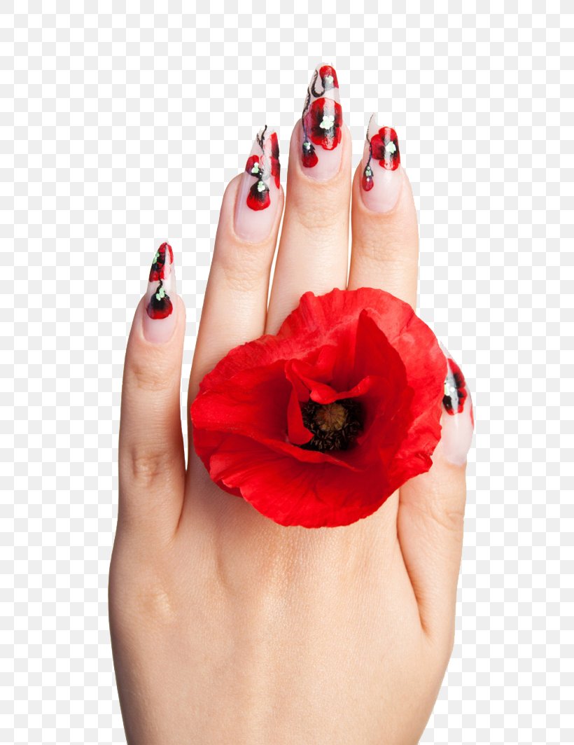 Stunning Caucasian Nail Art Influencer Connecting Through Video Chat Or  Blogging Photo Background And Picture For Free Download - Pngtree