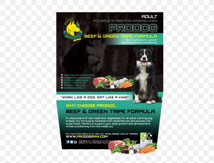 Raw Foodism ProDog Raw Raw Feeding Dog Food, PNG, 600x628px, Raw Foodism, Advertising, Brand, Diet, Dog Download Free