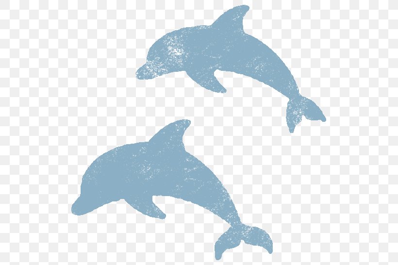 Common Bottlenose Dolphin Tucuxi Rough-toothed Dolphin Fauna, PNG, 545x546px, Common Bottlenose Dolphin, Animal, Animal Figure, Beak, Biology Download Free