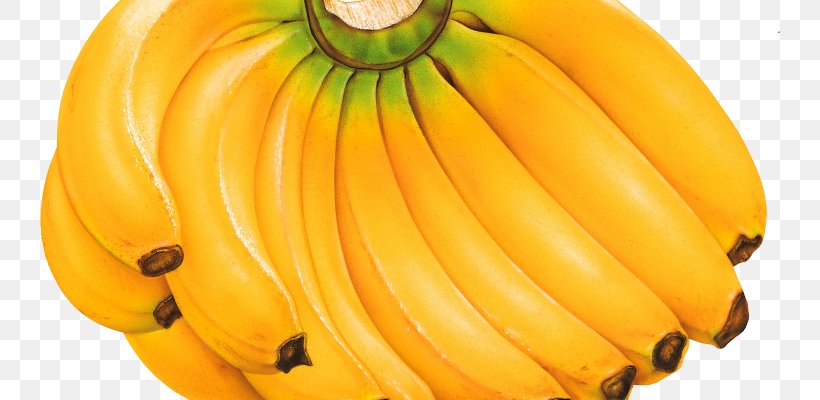 Cooking Banana Fruit Berry Sugar, PNG, 740x400px, Banana, Banana Family, Banana Powder, Berry, Calabaza Download Free