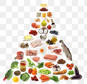 Health - Paleolithic Diet Food Nutrition Health PNG