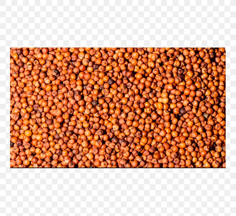 Seed Finger Millet Cereal Pearl Millet, PNG, 750x750px, Seed, Barley, Bean, Broomcorn, Cereal Download Free