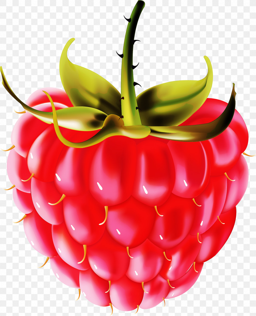 Strawberry, PNG, 2435x3000px, Natural Foods, Accessory Fruit, Food, Fruit, Plant Download Free