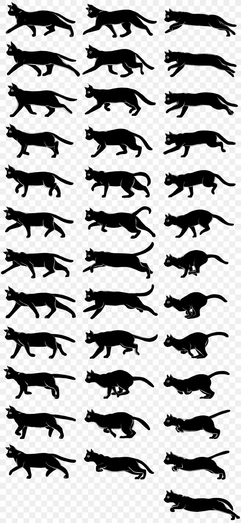 Walk Cycle Animation Cat Drawing Walking, PNG, 1196x2591px, Walk Cycle