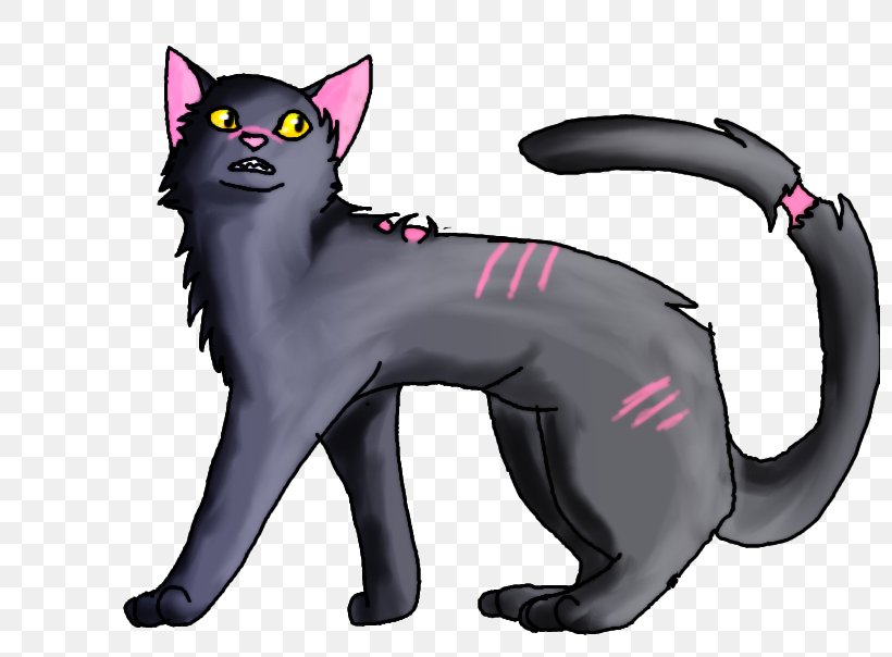 Black Cat Warriors Mistystar Stonefur, PNG, 798x604px, Black Cat, Carnivoran, Cat, Cat Like Mammal, Character Download Free