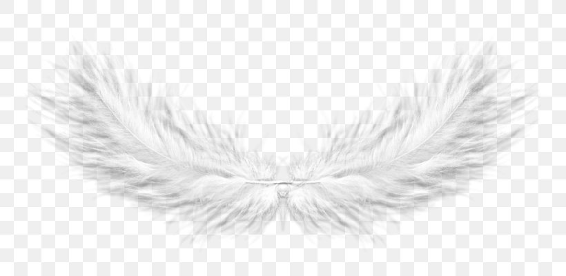 Feather Book Text, PNG, 800x400px, Feather, Black And White, Book, Eye, Eyelash Download Free