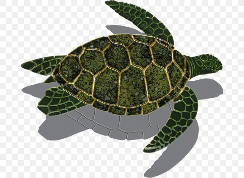 Loggerhead Sea Turtle Tortoise Green Sea Turtle, PNG, 682x600px, Loggerhead Sea Turtle, Backyard, Caretta, Ceramic, Emydidae Download Free