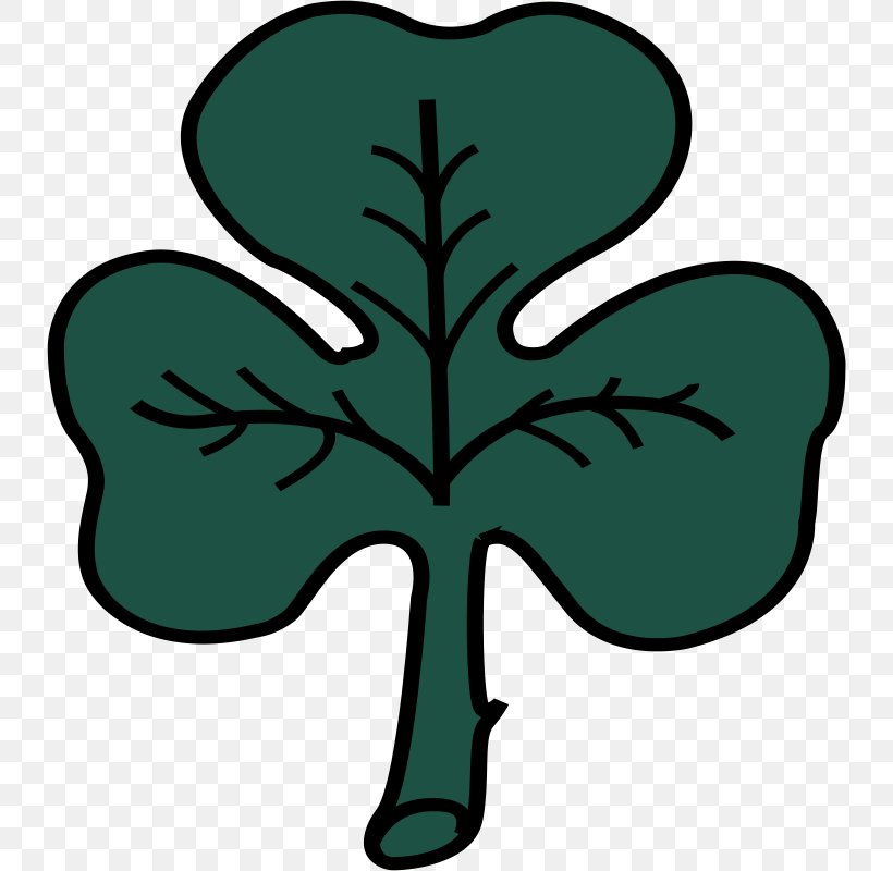 Montreal Flag Of Ireland Symbol Clip Art, PNG, 800x800px, Montreal, Clover, Flag, Flag Of Ireland, Flag Of Montreal Download Free