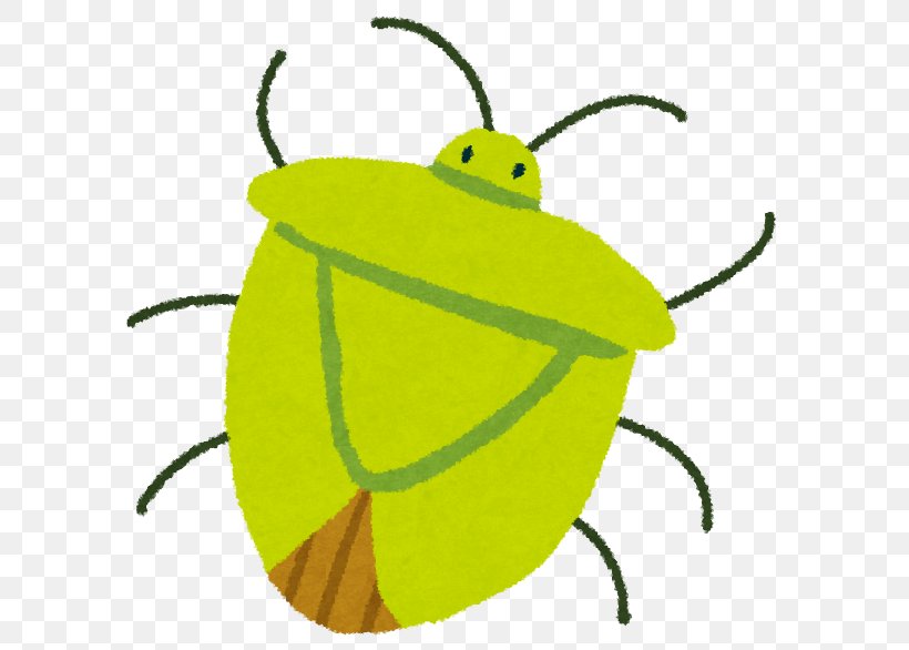 Pentatomoidea Clip Art Light Illustration True Bugs, PNG, 604x586px, Pentatomoidea, Arthropod, Bee, Beetle, Brown Marmorated Stink Bug Download Free