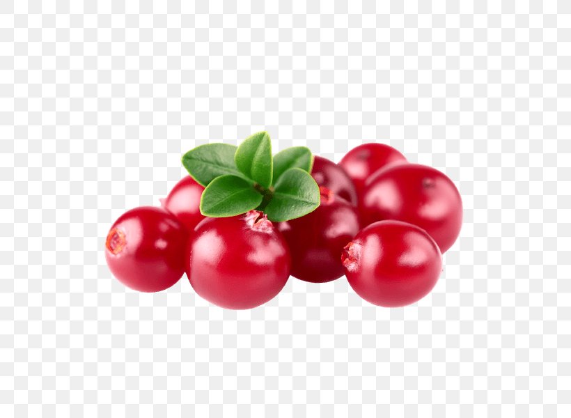Red Flower, PNG, 600x600px, Lingonberry, Acerola, Acerola Family, Arctostaphylos, Arctostaphylos Uvaursi Download Free