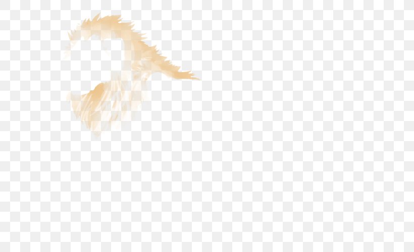 Tail Fur Snout Feather, PNG, 640x500px, Tail, Feather, Fur, Snout Download Free
