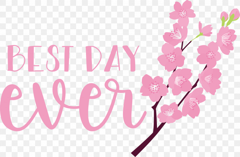 Best Day Ever Wedding, PNG, 3000x1967px, Best Day Ever, Biology, Branching, Cherry Blossom, Cut Flowers Download Free