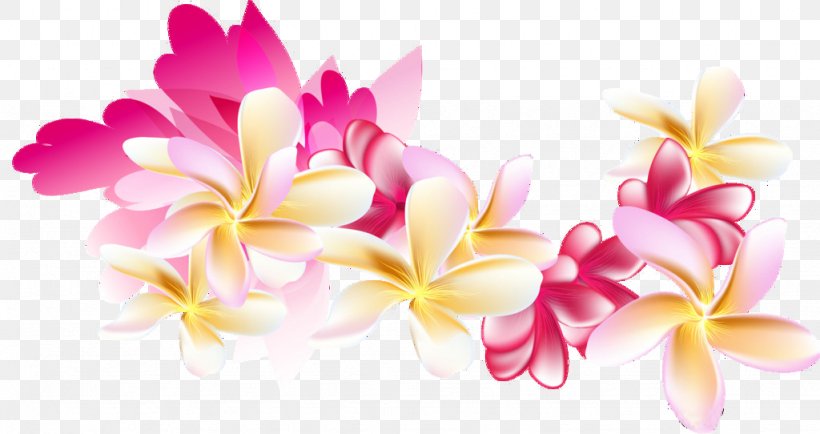 Floral Design Moth Orchids Cut Flowers Blossom, PNG, 1024x542px, Floral Design, Blossom, Computer, Cut Flowers, Floristry Download Free
