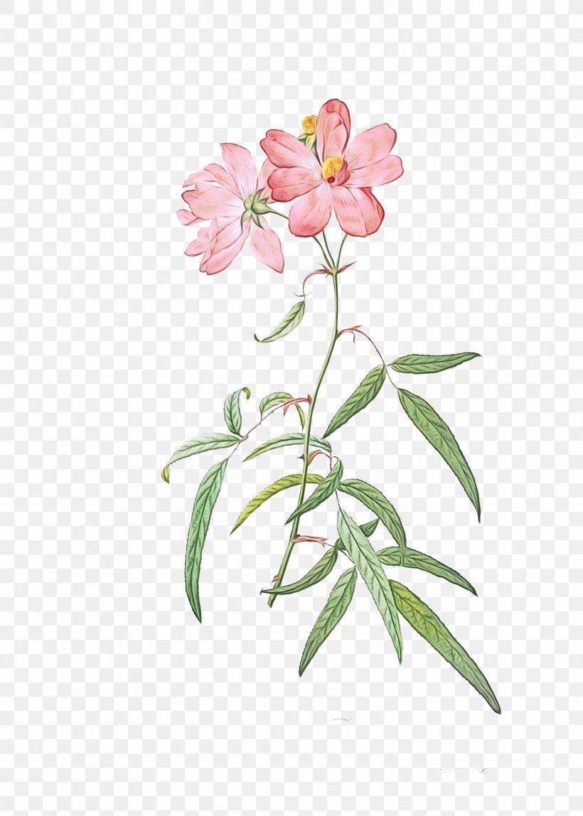 Flower Plant Pink Petal Prickly Rose, PNG, 1400x1960px, Watercolor, Chinese Peony, Flower, Impatiens, Paint Download Free