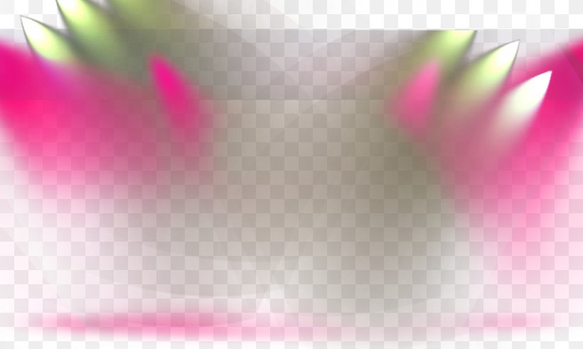 Light Petal Desktop Wallpaper Sky Close-up, PNG, 1000x600px, Light, Close Up, Closeup, Computer, Flower Download Free