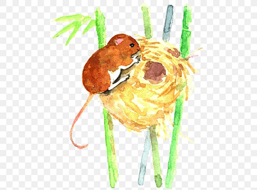 Mouse Muroidea Illustration, PNG, 500x608px, Mouse, Chinese Zodiac, Designer, Food, Insect Download Free
